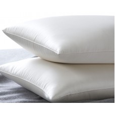 Silk Camel luxury / ultimate Silk Pillow (thin version)